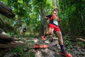 BIB: 
                            <button type="button" onclick="openModal(19393091)" class="btn btn-primary btn-sm float-right btn-popup" data-toggle="modal" data-target=".modal-high-quality">
                        <i class="fas fa-shopping-cart"></i> Add to Cart
                    </button>
                                            <button type="button" onclick="isThisMe(19393091, true)" class="btn btn-success btn-sm float-right btn-popup btn-isme hidden" data-toggle="tooltip" data-placement="bottom" title="นี่คือรูปของคุณใช่ไหม คลิกที่นี่เพื่อเอาเข้าอัลบั้ม">
                        <i class="fas fa-plus"></i> Add to album
                    </button>
                    <button type="button" onclick="isThisMe(19393091, false)" class="btn btn-warning btn-sm float-right btn-popup btn-isnotme hidden">
                        <i class="fas fa-ban"></i> Remove from album
                    </button>